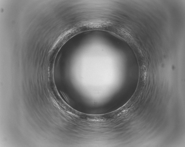 X0000054460400200508191707