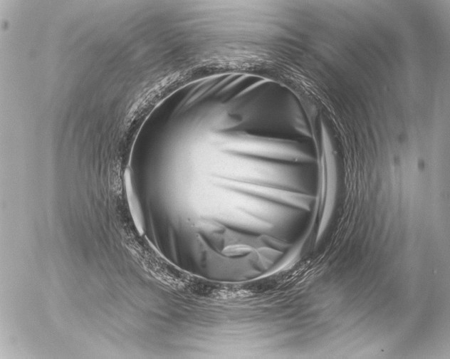 X0000054460403200508191707