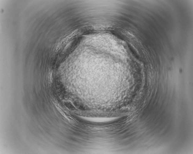 X0000054460405200508191707
