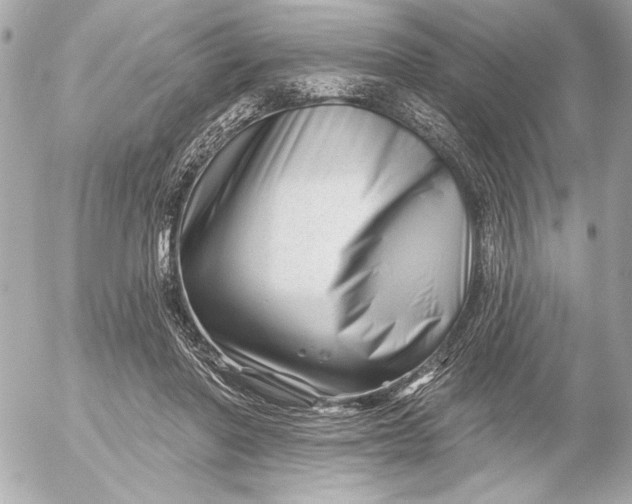 X0000054460406200508191707