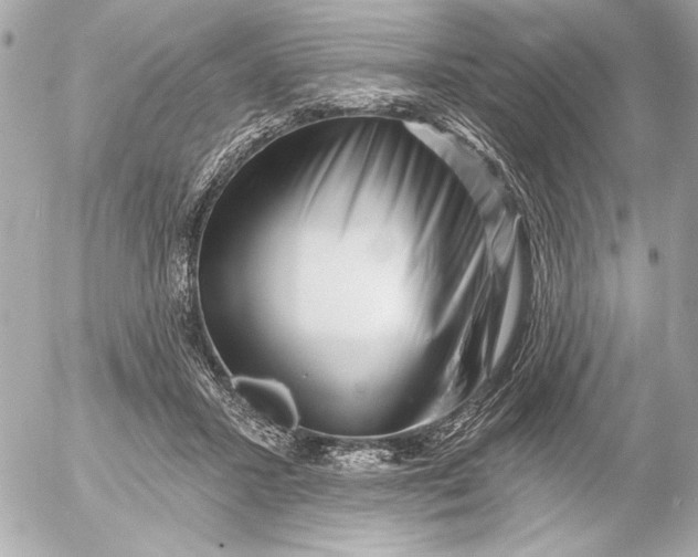 X0000054460407200508191707