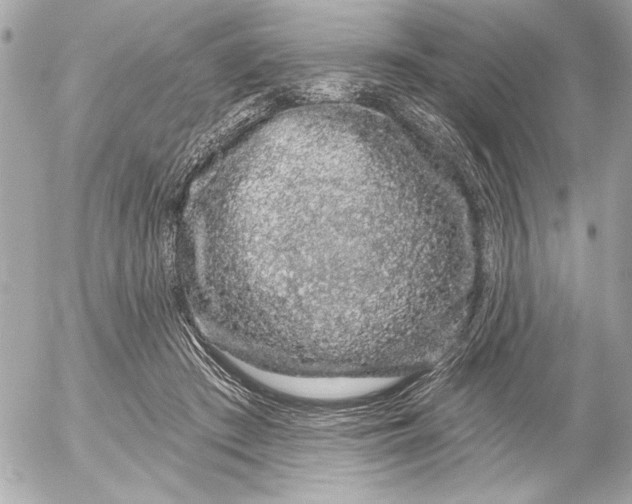 X0000054460409200508191707