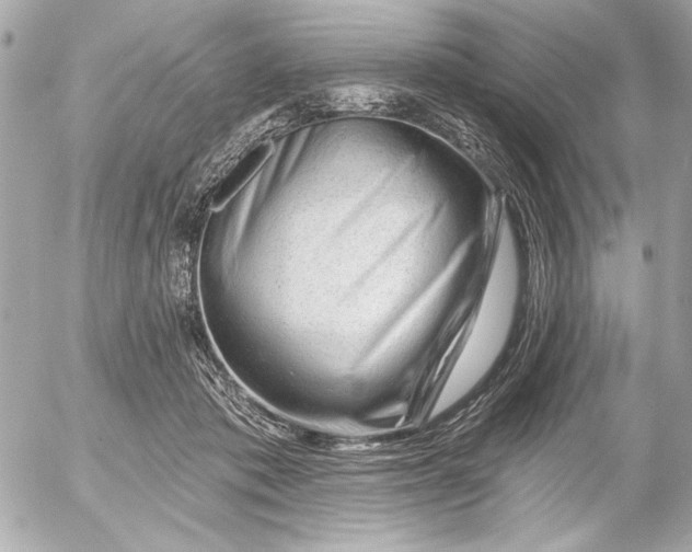 X0000054460413200508191707