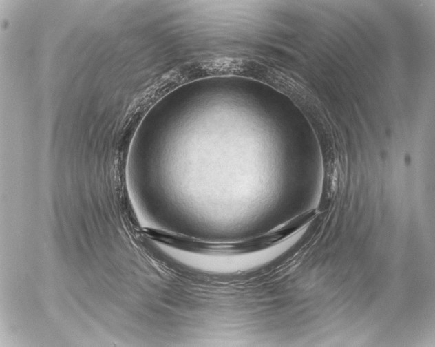 X0000054460416200508191707
