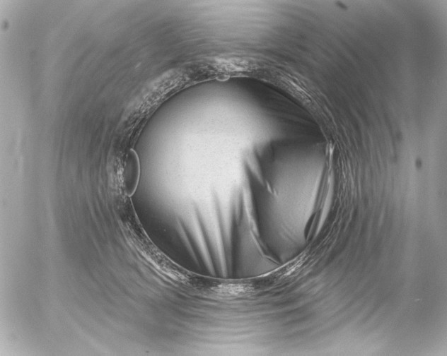 X0000054460418200508191707
