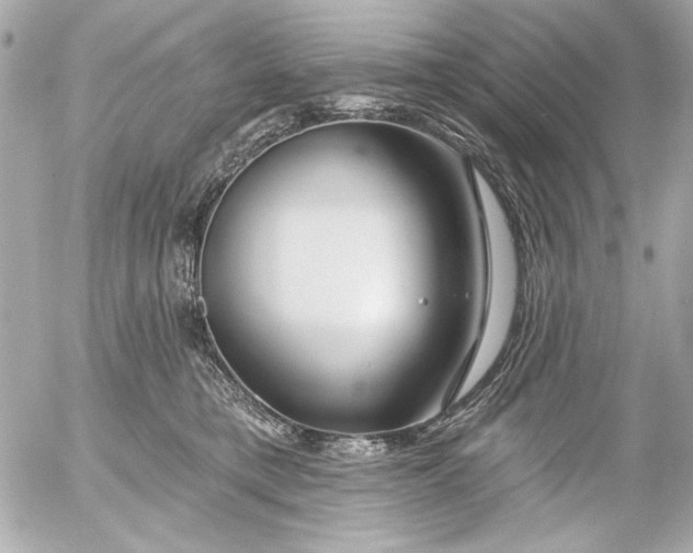 X0000054460421200508191707