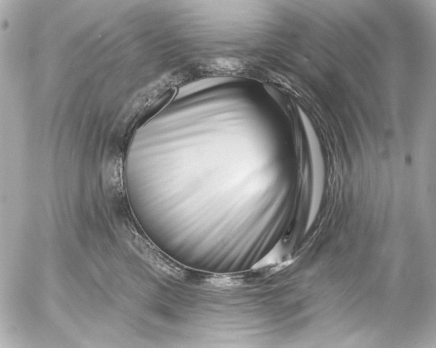 X0000054460425200508191707