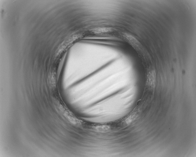 X0000054460426200508191707