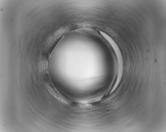 X0000054460429200508191707
