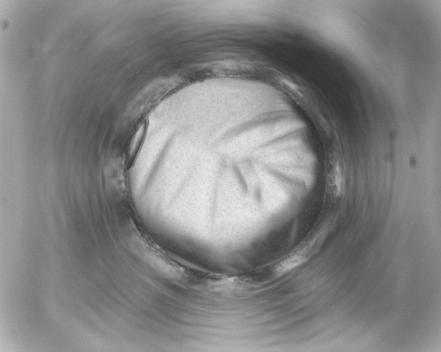 X0000054460430200508191707