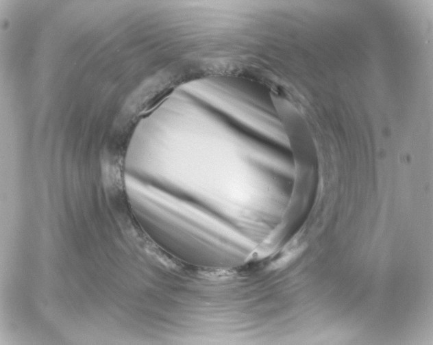X0000054460432200508191707
