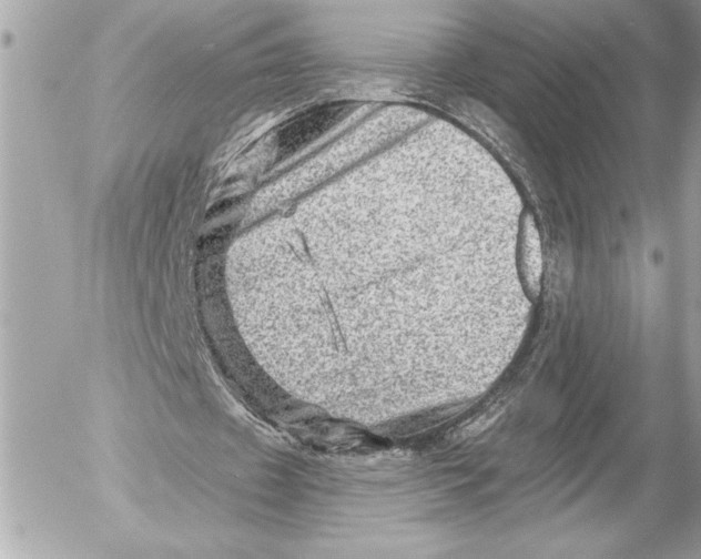 X0000054460433200508191706