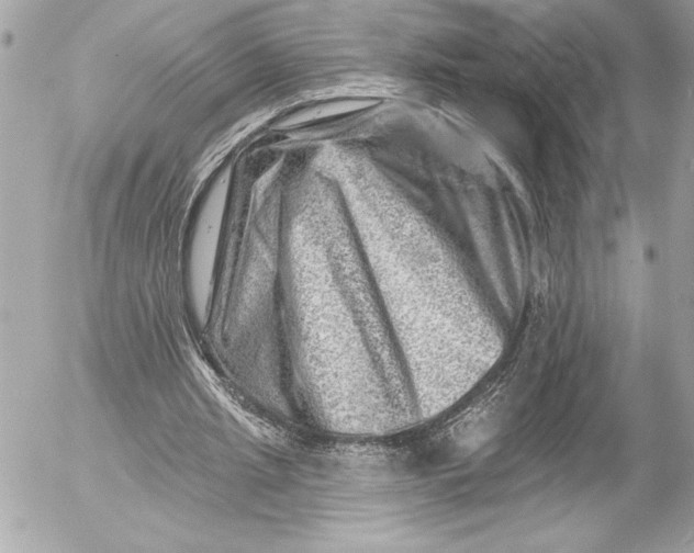 X0000054460437200508191706