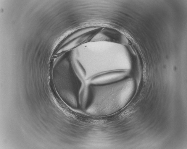 X0000054460438200508191706