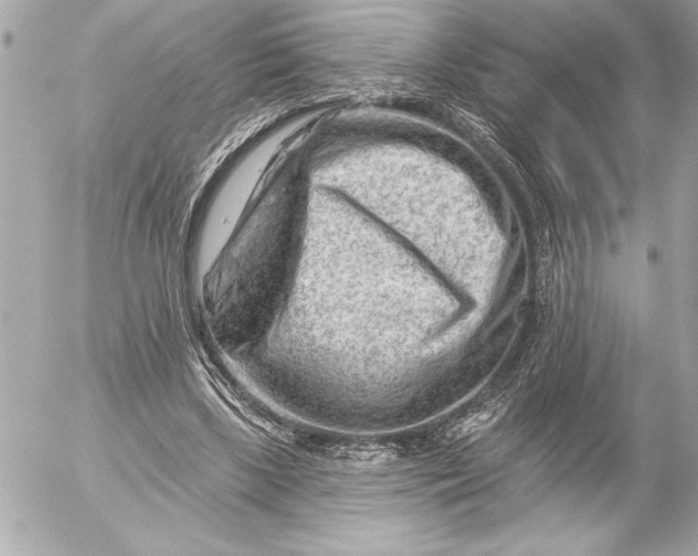 X0000054460443200508191706