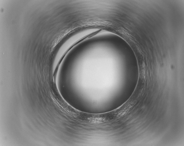 X0000054460448200508191706
