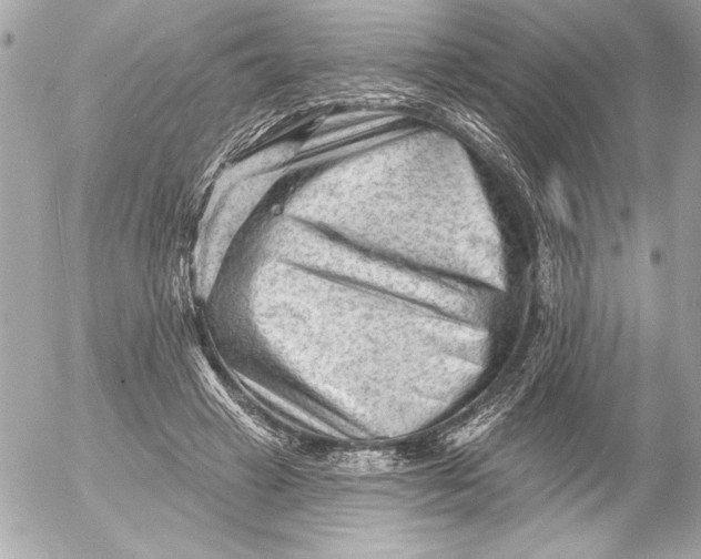 X0000054460449200508191706