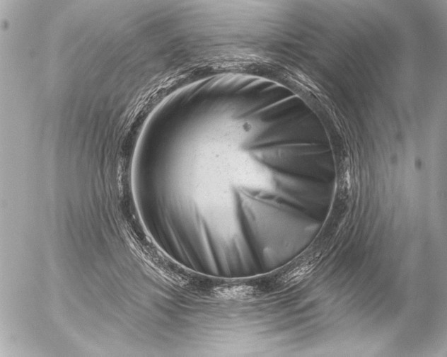 X0000054460452200508191706