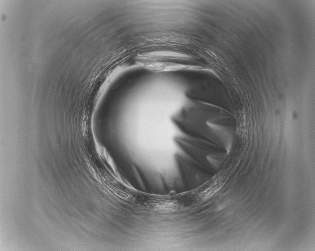 X0000054460456200508191707