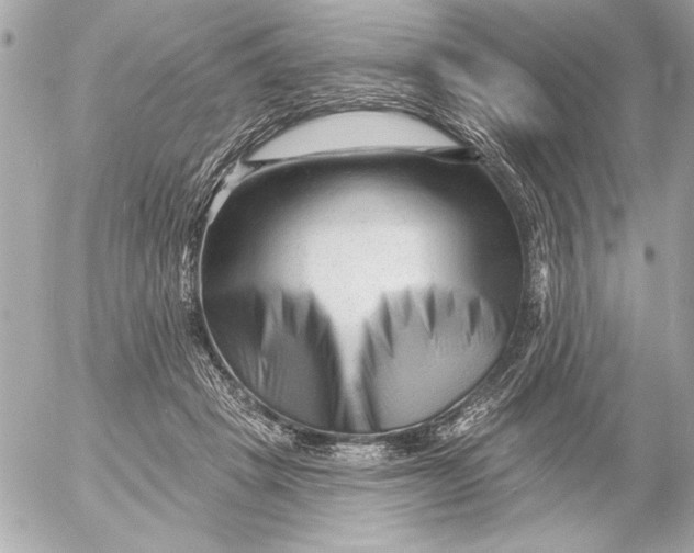 X0000054460457200508191707