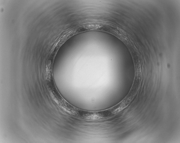 X0000054460460200508191707