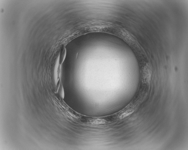X0000054460463200508191707