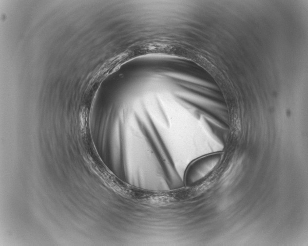 X0000054460468200508191707