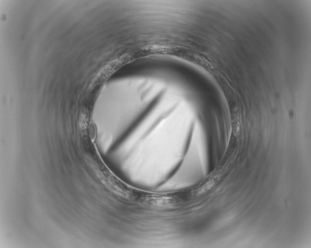 X0000054460472200508191707
