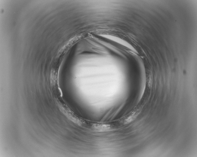 X0000054460476200508191707