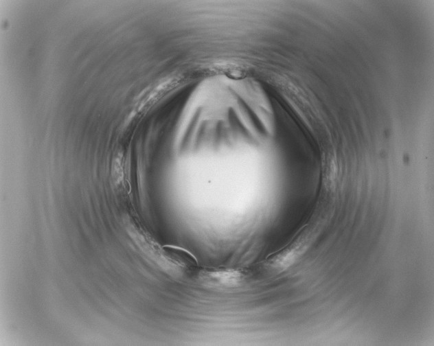 X0000054460478200508191707