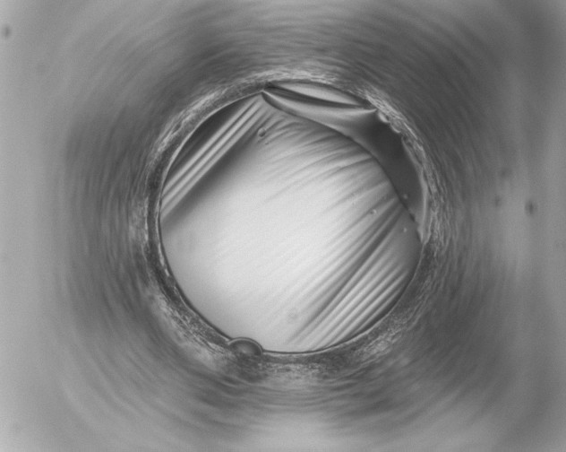 X0000054460486200508191706