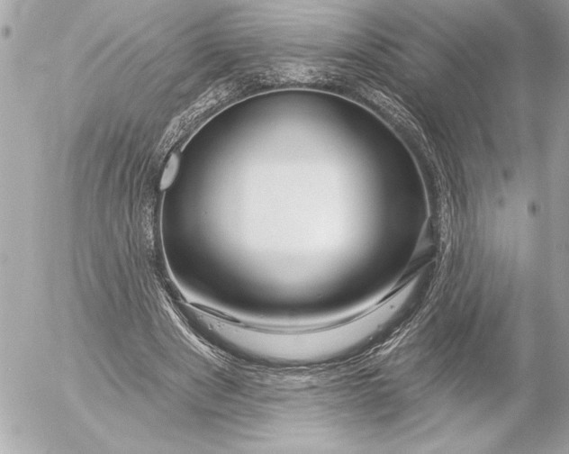 X0000054460489200508191706