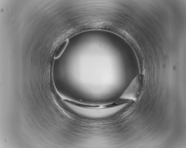 X0000054460493200508191706