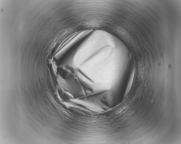 X0000054460494200508191706