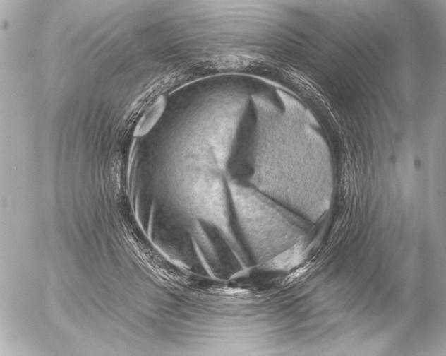 X0000054460501200508191706