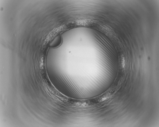 X0000054460502200508191706