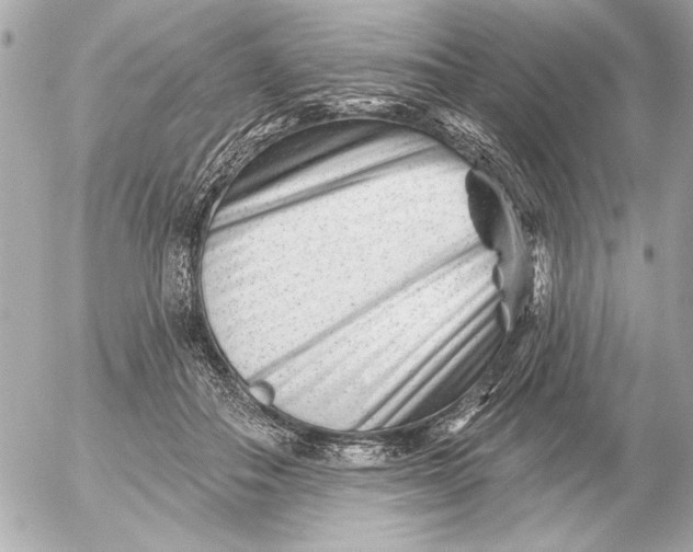 X0000054460506200508191706