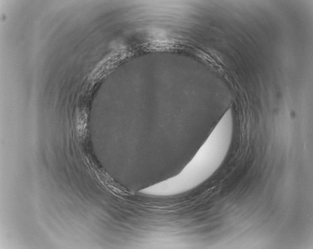 X0000054460507200508191706