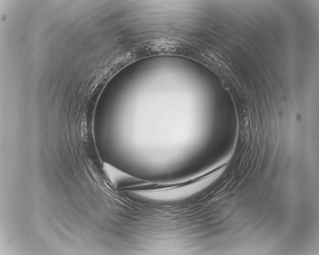 X0000054460508200508191706