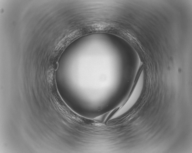 X0000054460509200508191706