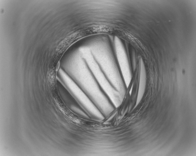 X0000054460513200508191706