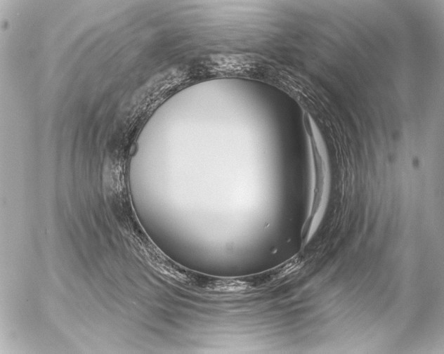 X0000054460514200508191706
