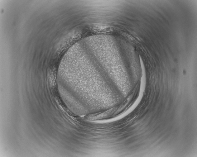 X0000054460515200508191706