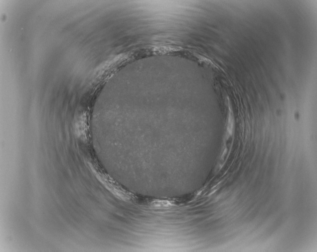X0000054460519200508191706