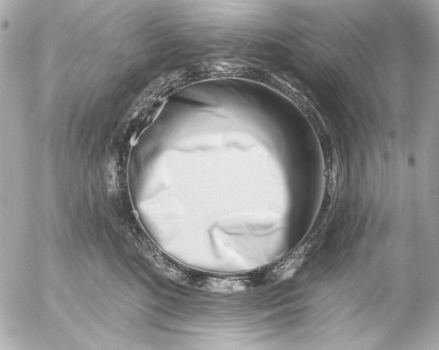 X0000054460520200508191705