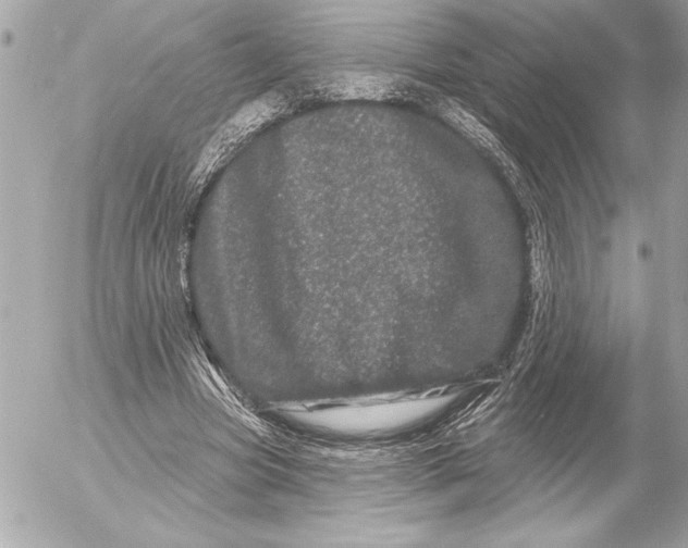 X0000054460537200508191705