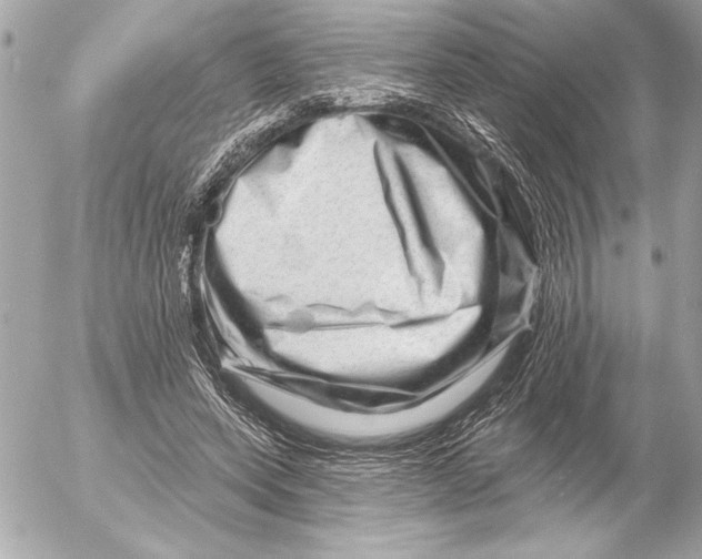 X0000054460543200508191705