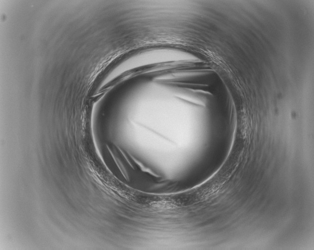 X0000054460544200508191705