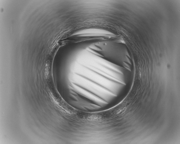 X0000054460546200508191705