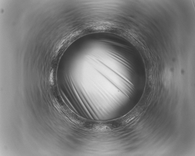 X0000054460547200508191705